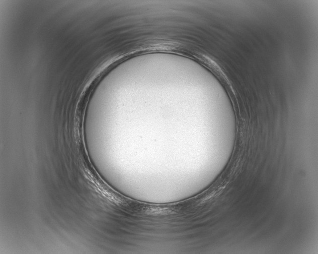 X0000078880835200612111737