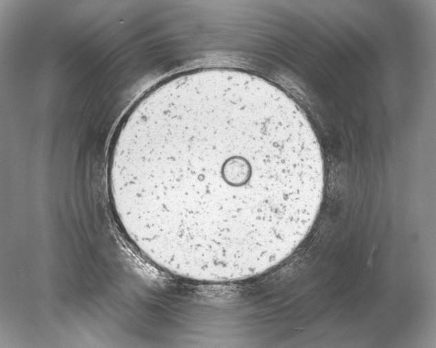 X0000078880836200612111737