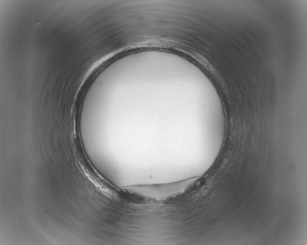 X0000078880838200612111737