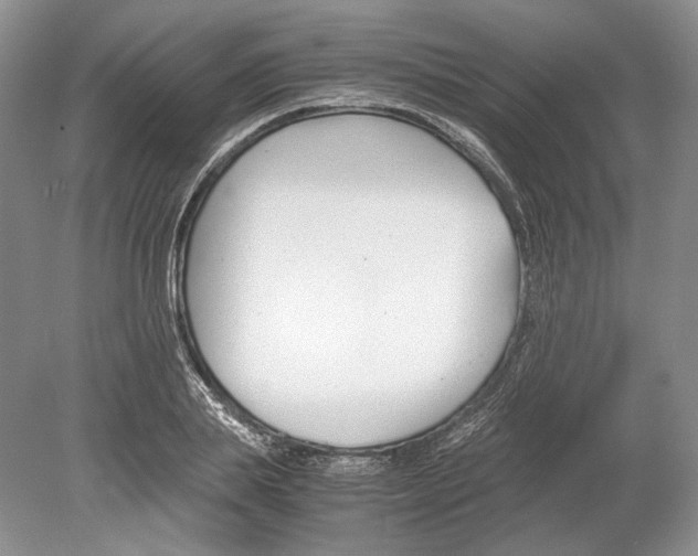 X0000078880839200612111737