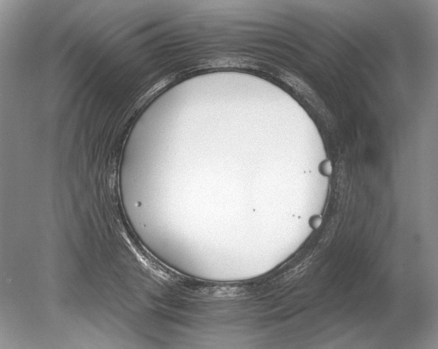 X0000078880841200612111737