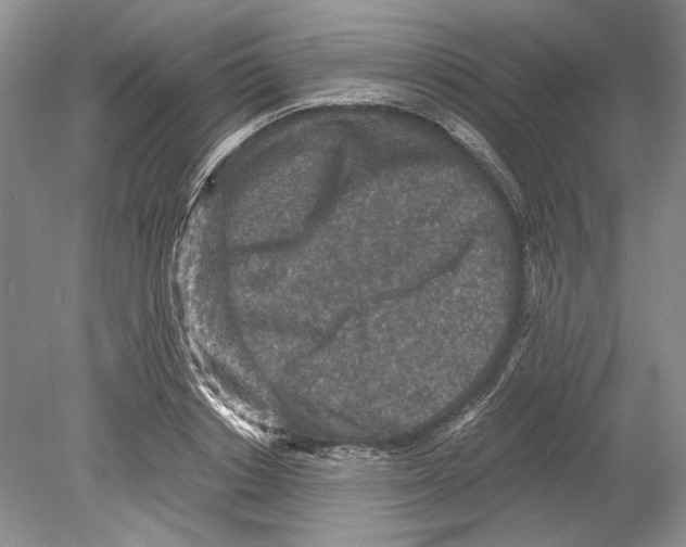 X0000078880842200612111737