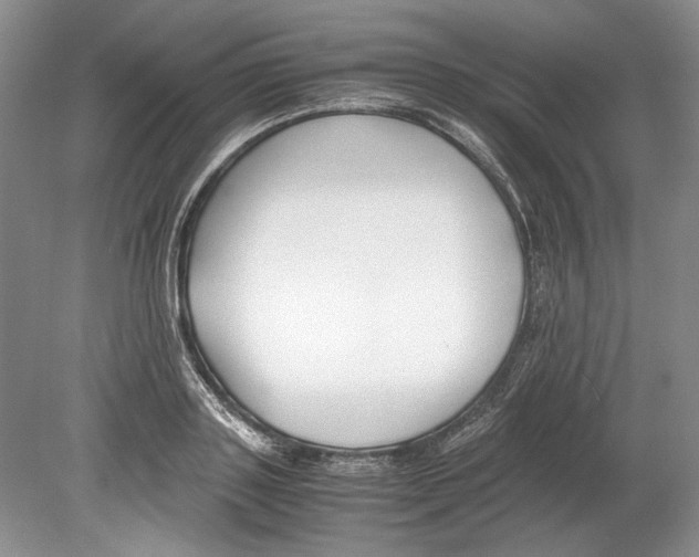 X0000078880843200612111737