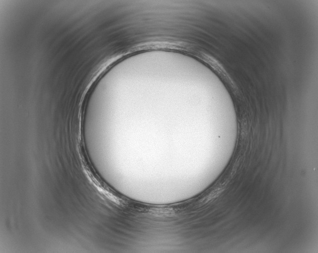 X0000078880844200612111737