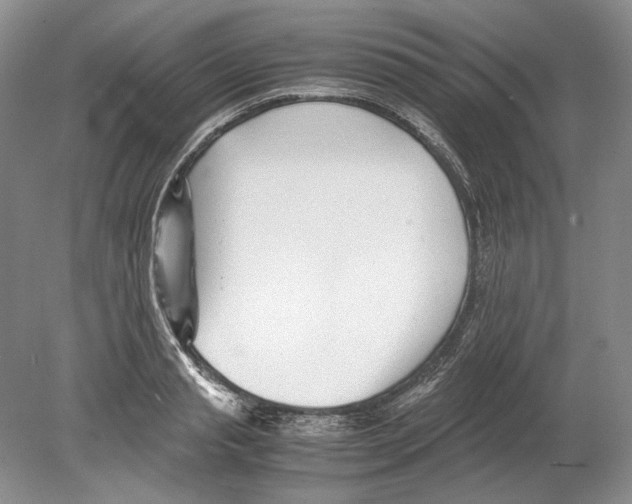 X0000078880845200612111737