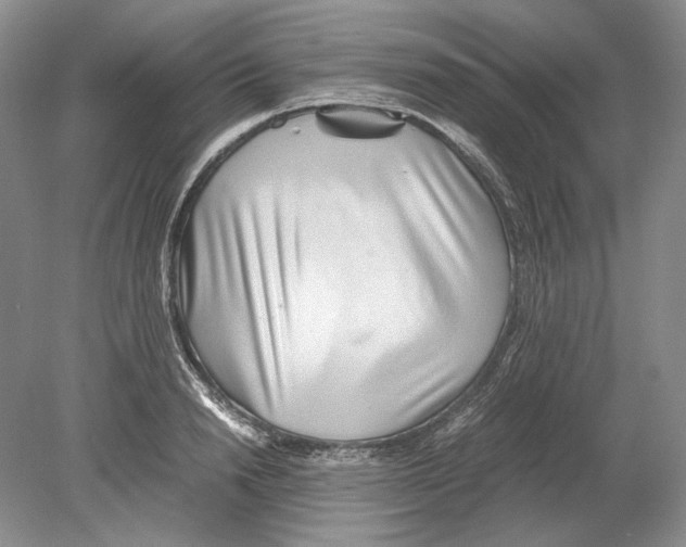 X0000078880846200612111737