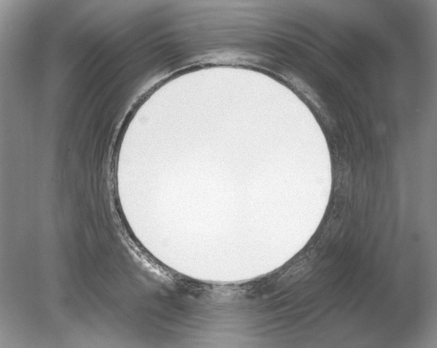 X0000078880848200612111737