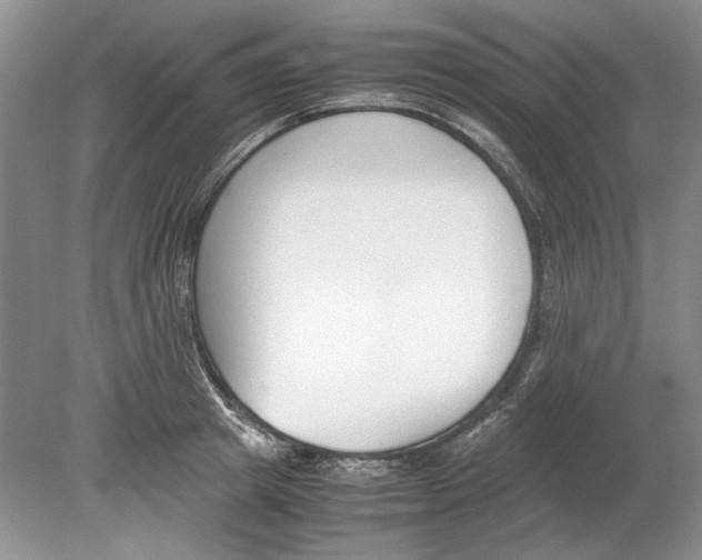 X0000078880849200612111737