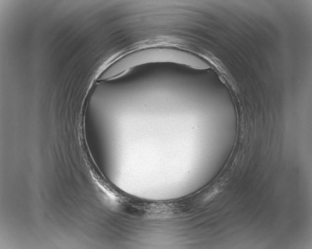 X0000078880850200612111737