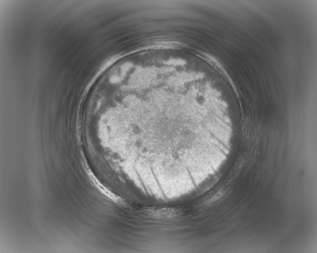 X0000078880851200612111737