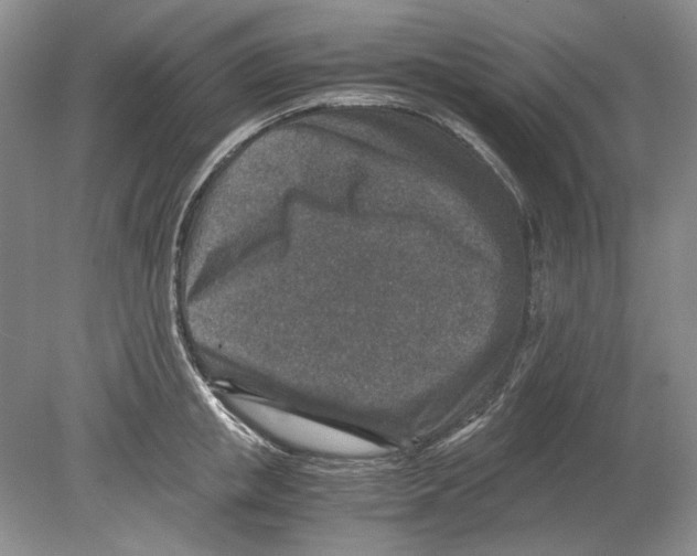 X0000078880853200612111737