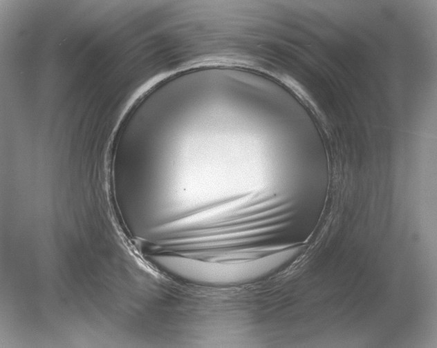 X0000078880854200612111737