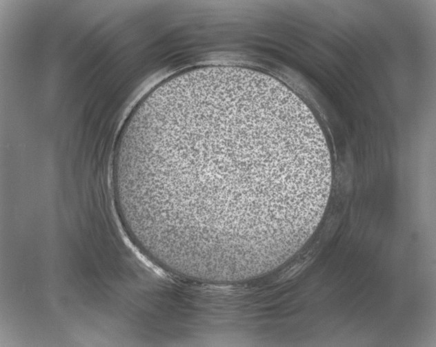 X0000078880855200612111737