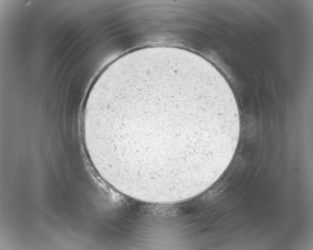 X0000078880856200612111737