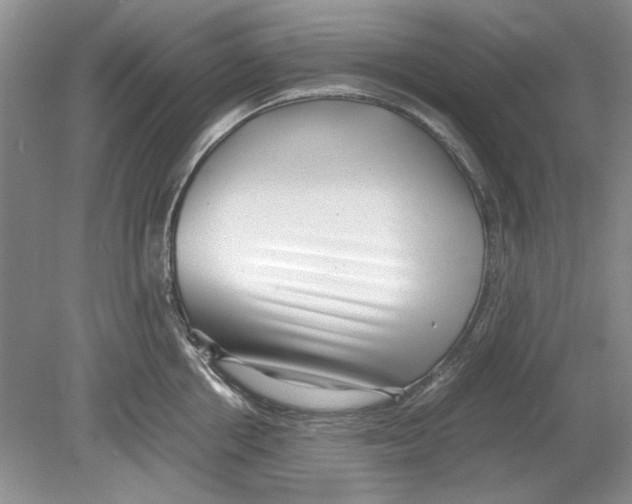 X0000078880858200612111737