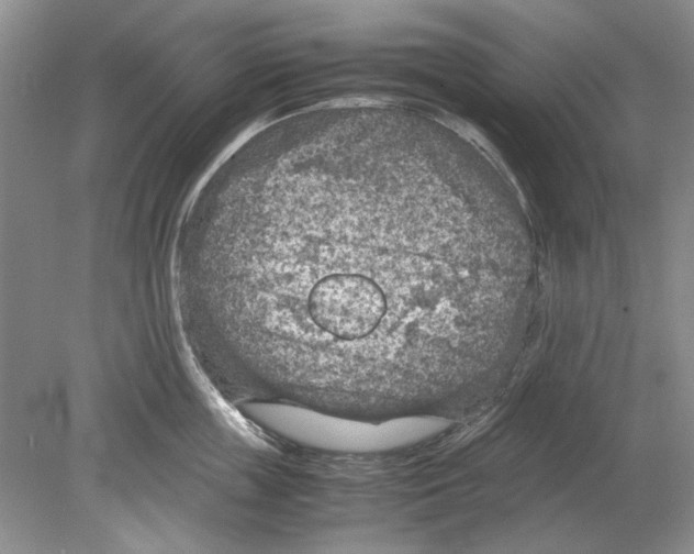 X0000078880859200612111737