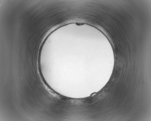 X0000078880861200612111738