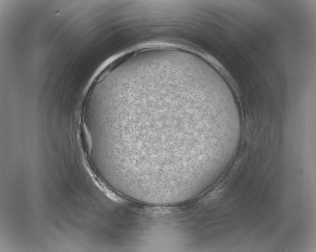 X0000078880862200612111738