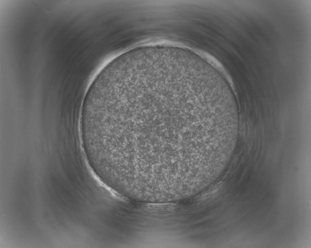 X0000078880863200612111738