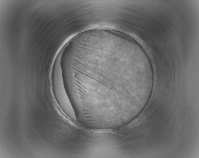 X0000078880864200612111738