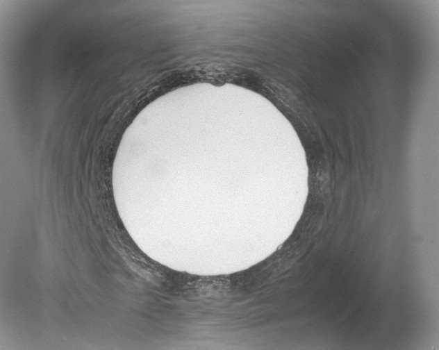 X0000078880865200612111737