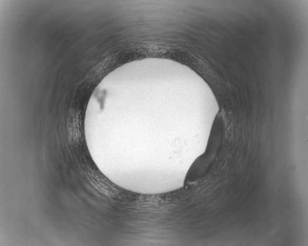 X0000078880866200612111737