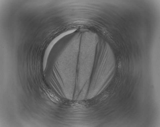 X0000078880868200612111737