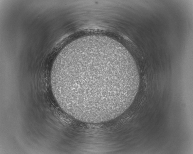 X0000078880870200612111737