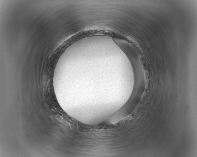 X0000078880872200612111737