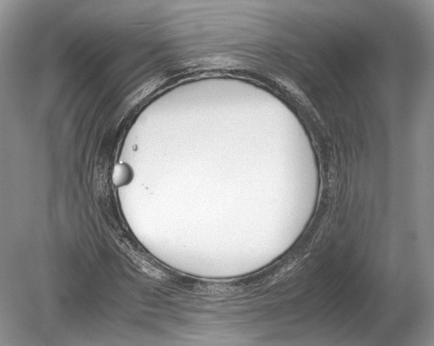 X0000078880873200612111737