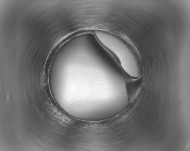 X0000078880876200612111737