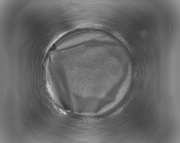 X0000078880877200612111737