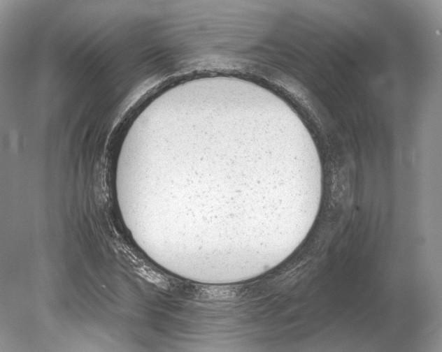 X0000078880878200612111737