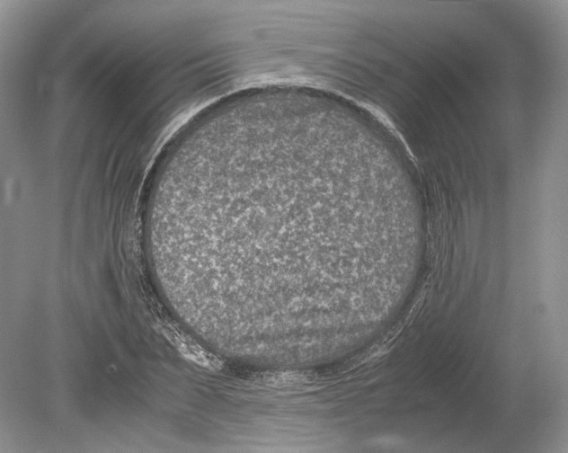 X0000078880879200612111737