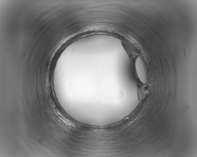 X0000078880880200612111737