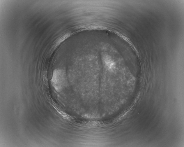 X0000078880881200612111737