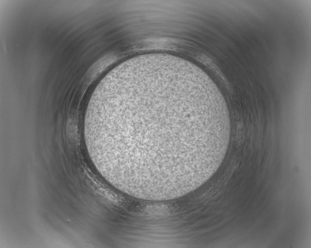 X0000078880882200612111736