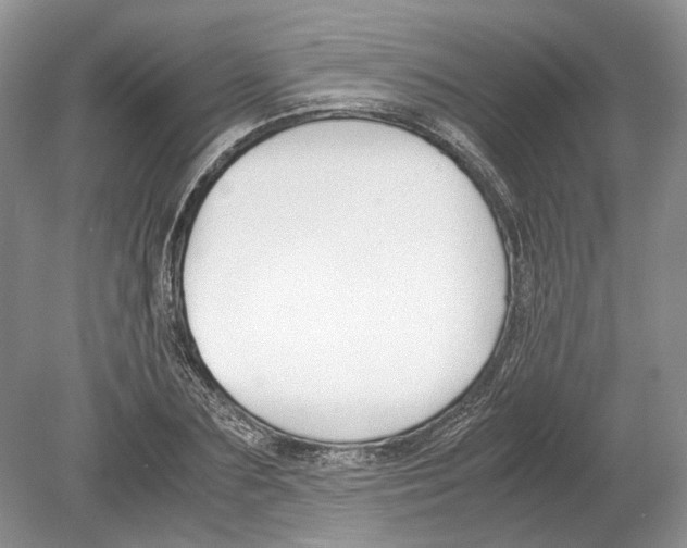 X0000078880883200612111736