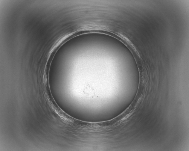 X0000078880885200612111736