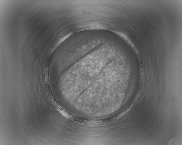 X0000078880889200612111736