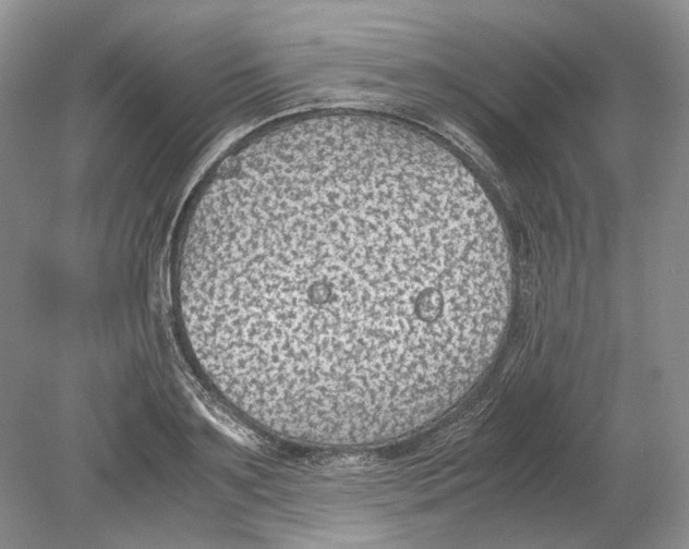 X0000078880891200612111736