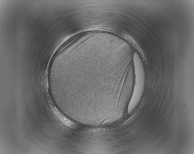 X0000078880892200612111736