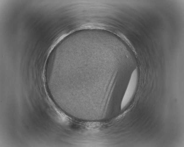 X0000078880893200612111736