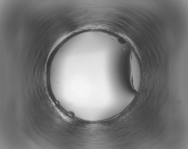 X0000078880894200612111736