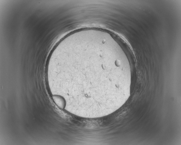 X0000078880895200612111736