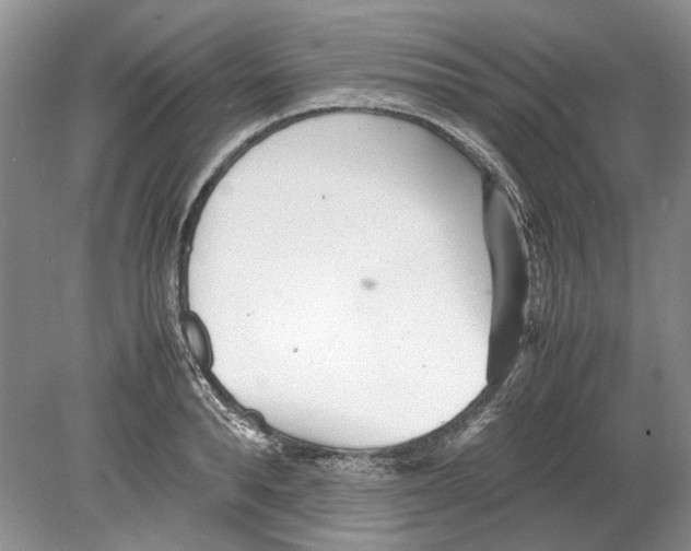 X0000078880896200612111736