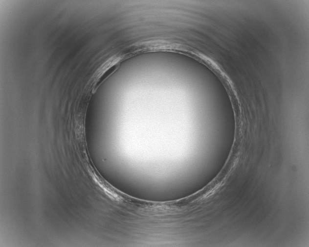 X0000078880897200612111736