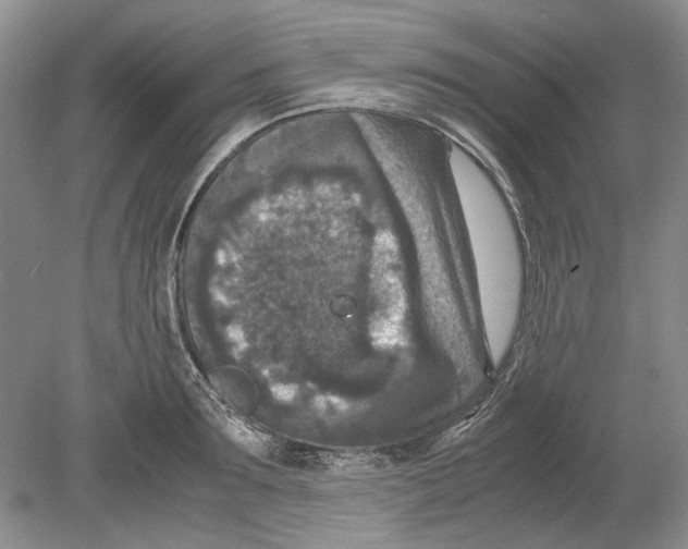 X0000078880899200612111736