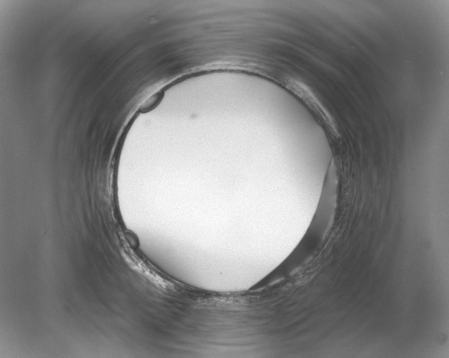 X0000078880900200612111736