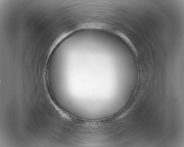 X0000078880901200612111736